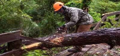 19/01/2024 How to safely cut fallen logs: